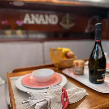 Sailboat Anand 船屋